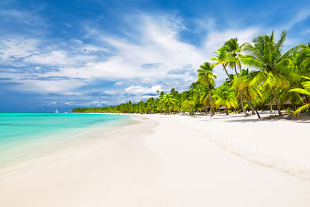 Beach with whte sand, blue water with palm trees lining the beach